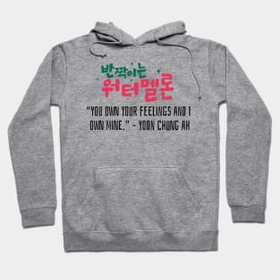 Twinkling Watermelon Korean Drama Quote Hoodie